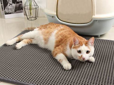 Anti-microbial Cat Liter Mat