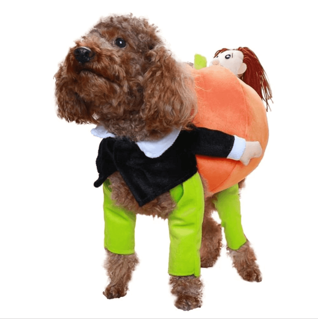 Funny Pet Costume